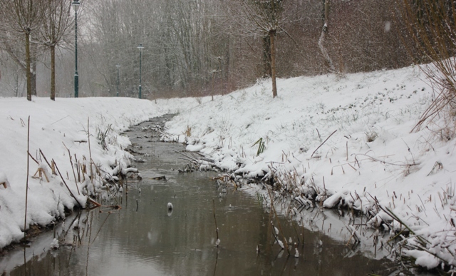 Hiver 2013 - Sous la neige